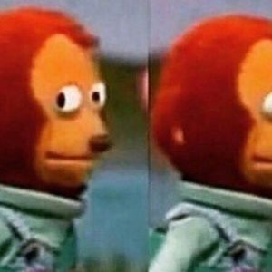 Meet your Posher, Terry